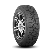 Roadstone Winguard Winspike 195/75R16 107/105R